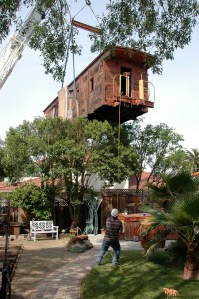 2007 WP668 over trees by Danek Duvall