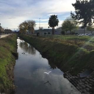 Christmas 2016 Elmwood Jail