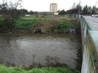 Guadalupe River at Alma/Lelong, San Jose CA 8 Feb 2015