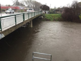 Guadalupe River at Alma/Lelong - with Paul, San Jose CA 8 Jan 2017