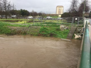Guadalupe River at Alma/Lelong, San Jose CA 8 Jan 2017