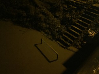 Guadalupe River at Alma/Lelong, San Jose CA 8 Jan 2017