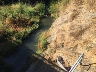 Guadalupe River at Alma/Lelong, San Jose CA 29 Sep 2016