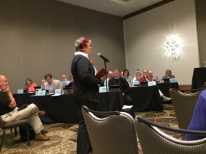 Katy Dickinson giving testimony on Social Justice - International Policy, General Convention, 6 July 2018