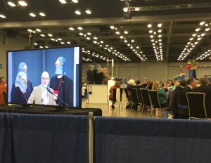 Pigeon comedy GC79 on 12 July 2018