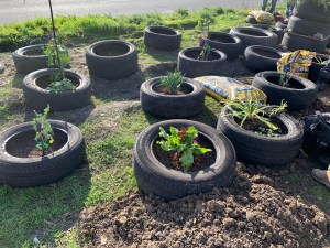 The Village tiny house building, Oakland, 18 Jan 2020