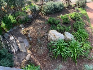 Willow Glen Garden, San Jose, California 4 Feb 2020