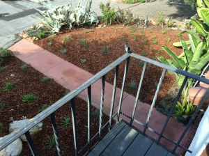 Willow Glen Front Garden, San Jose, California 10 Nov 2015