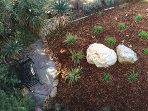 Willow Glen Front Garden, San Jose, California 10 Nov 2015