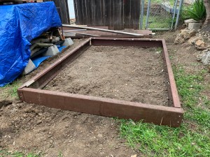 Katy DIckinson San Jose backyard April 2020