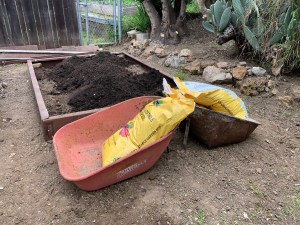 Katy DIckinson San Jose backyard April 2020