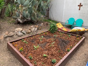 Katy Dickinson San Jose backyard April 2020