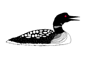 Paul D Goodman 2007 computer drawing of loon