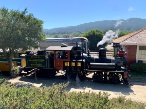 Roaring Camp and Big Trees railroad, Felton 3 July 2020