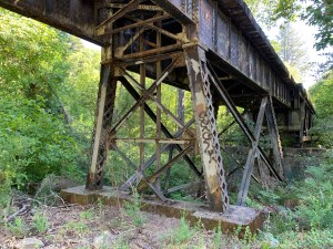 Santa Cruz Big Trees and Pacific rail line, Felton 3 July 2020