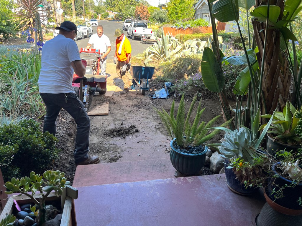 Digging french drain trenches, July 2022