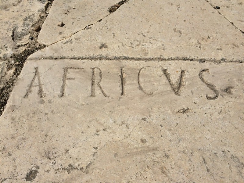 Africus carving, Dougga Roman ruins, Tunisia 2015