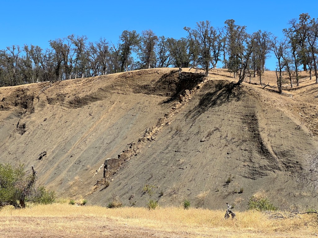 Road Trip, Northern California, August 2022