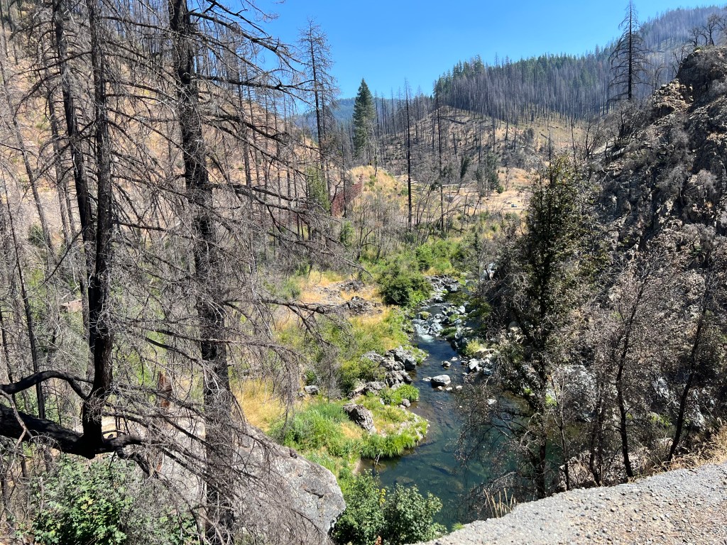 Road Trip, Northern California, August 2022