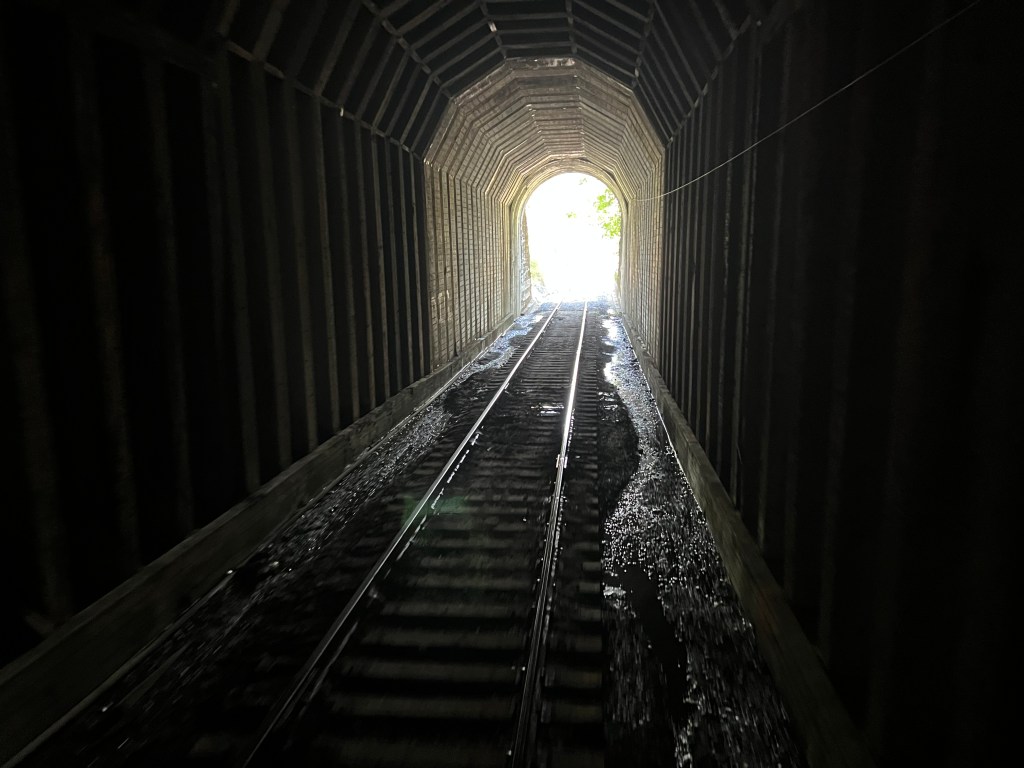 Skunk Train tunnel, Willits, California, August 2022